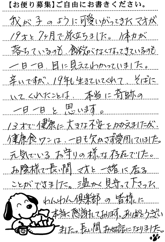 マオ 画像1