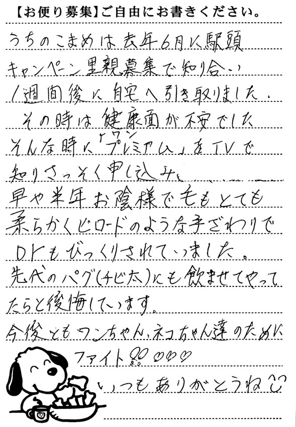 こまめ 画像1