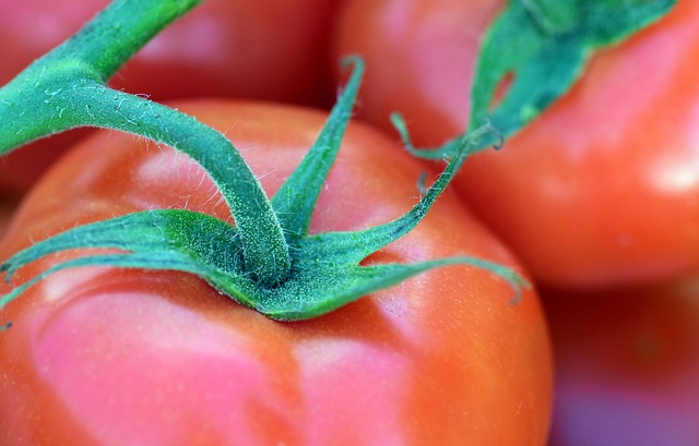 tomato-2355866_640