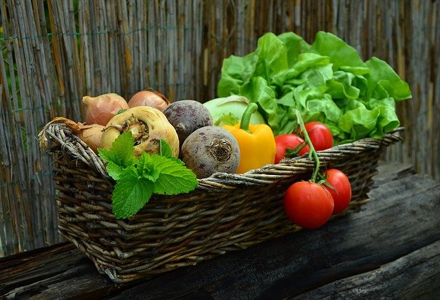 犬に野菜は必要？愛犬の体によい野菜と与え方